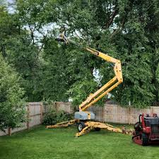 Reliable Avon, MN Tree Removal and Landscaping Services Solutions